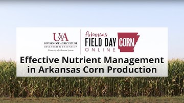 Corn Field Day Online - Effective Nutrient Management