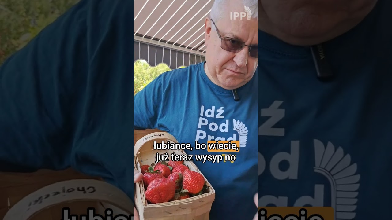 Artwork for podcast Idź Pod Prąd NOWOŚCI