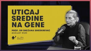 Kako Sredina Utiče Na Nasleđene Gene Kod Ljudi? | Prof. Dr Snežana Smederevac