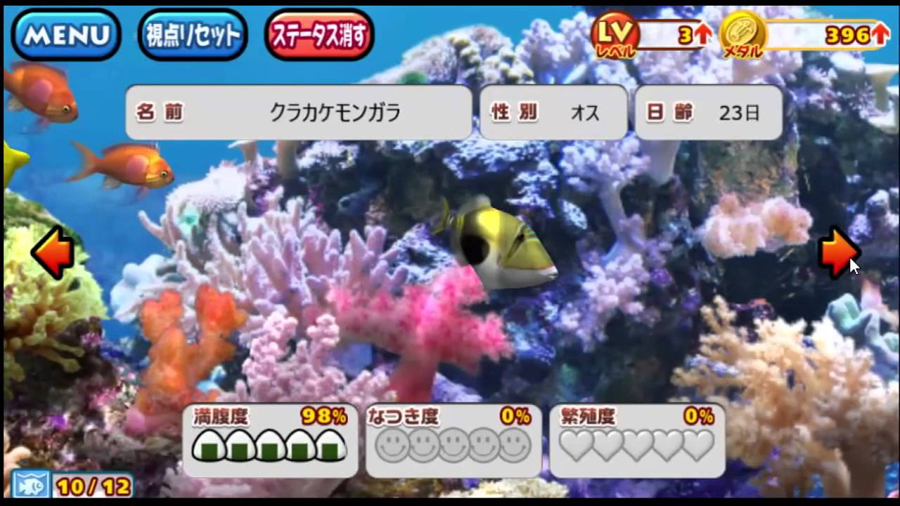 海水魚 飼育ゲーム ニモ キイロハギ Youtube