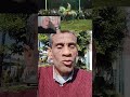 مهرجان الخيول مولد الشيخ رمضان كلام في الثقافة الشعبية أسامة الفرماوي