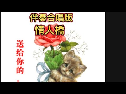 情人橋🎤伴奏加長DJ版💕❤️💕