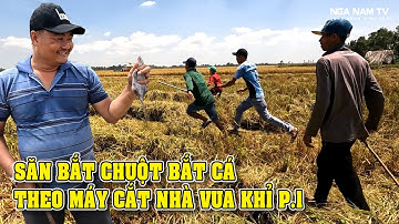 Săn Bắt Cá Bắt Chuột Theo Máy Cắt Nhà Vua Khỉ Nướng Ăn Giữa Đồng Cực Vui/Catch The Fish/NGÃ NĂM TV