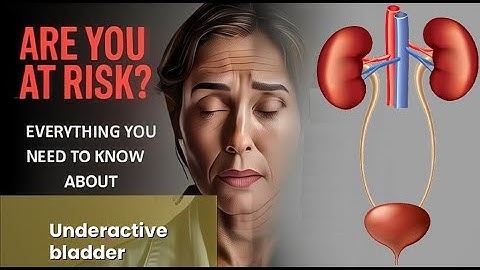 Underactive bladder Explained Causes, Symptoms and Treatment, All Insights