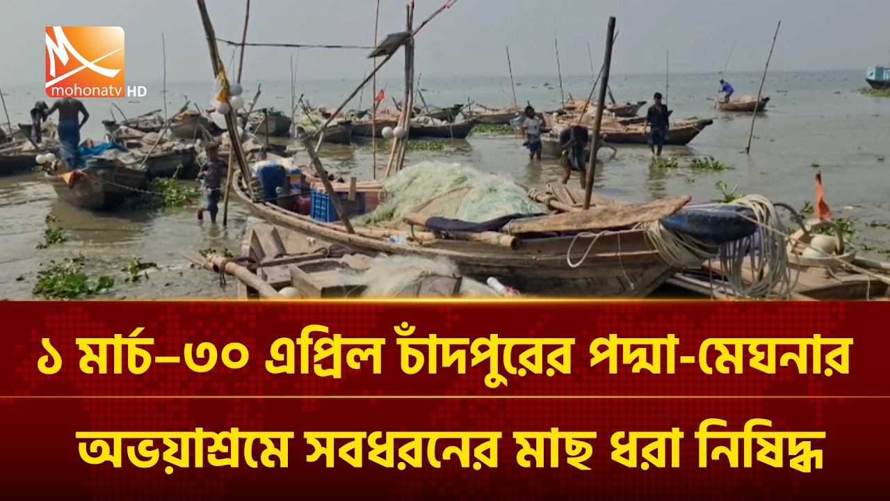 ১ মার্চ–৩০ এপ্রিল চাঁদপুরের পদ্মা-মেঘনার অভয়াশ্রমে সবধরনের মাছ ধরা নিষিদ্ধ | Mohona TV