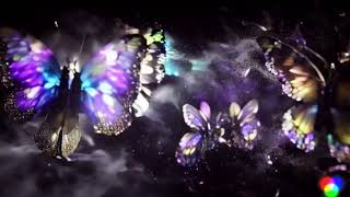 Synthetic Eden Cyber-Anarchy Short Movie