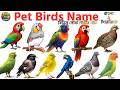 Pet Birds Name in English & Bangla | 10+ Pet Birds for Kids 🐦 | Learn Bird Names with Pictures