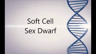Soft Cell  -Sex Dwarf - Remastered Razormaid Promotional Remix