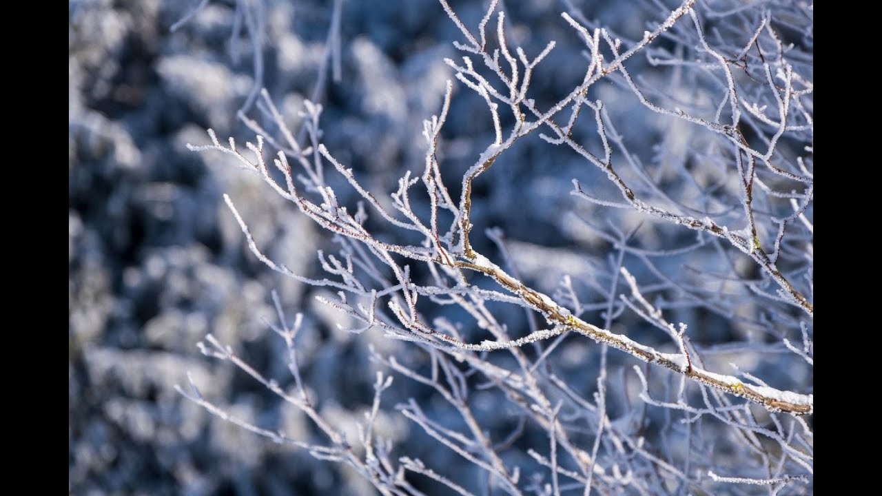 Menopausa: le vie di somministrazione delle terapia ormonale sostitutiva