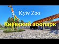 Киевский зоопарк после реконструкции. Это надо видеть!