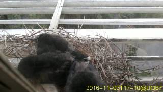 20161103T1700~1730