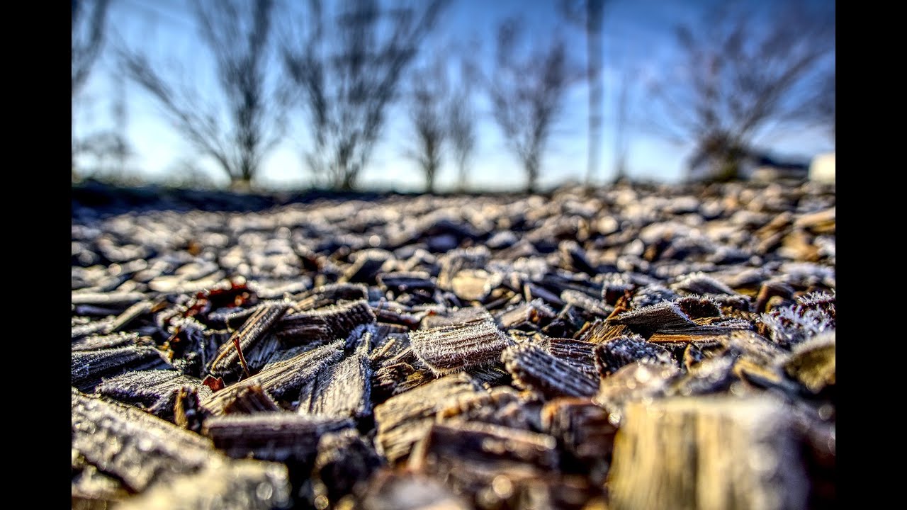 The sound of wood chipping for stress relief YouTube