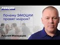 Почему Эмоции правят миром?