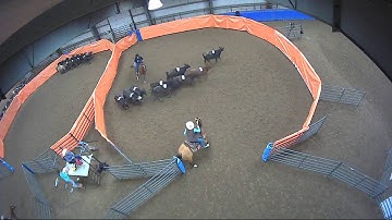 Big Sky Ranch Sorting Saddle Series #3 - #7 Sort - Round #1 - Ride #26