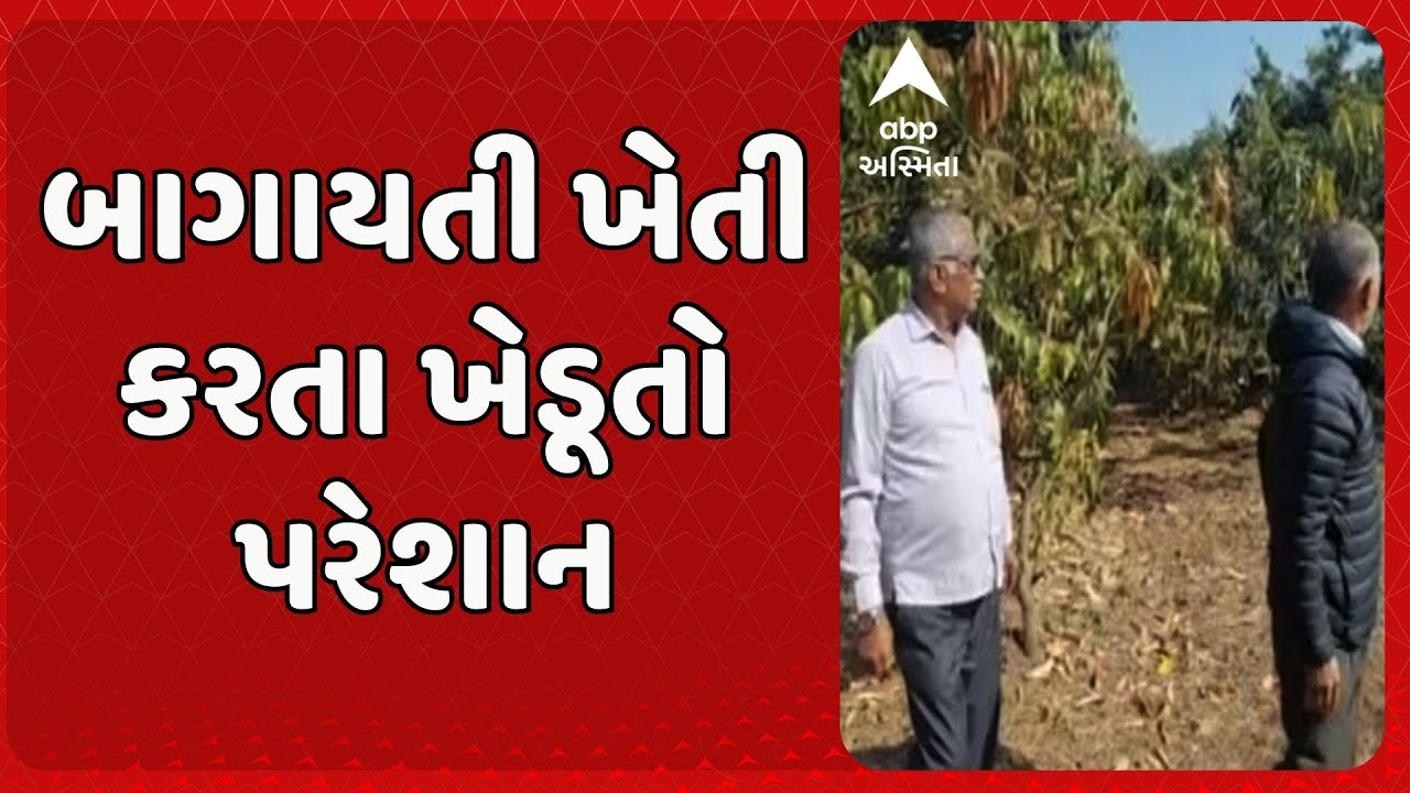 Agriculture News | બાગાયતી ખેતી કરતા ખેડૂતો પરેશાન