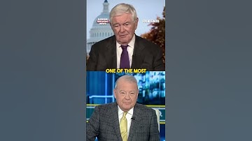 Newt Gingrich puts Chuck Schumer ON BLAST over 