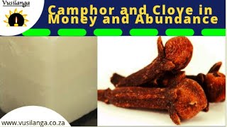 Using Camphor and Clove for Money and Abundance (Vusilanga)