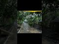 Wandering in the Rain: Sounds for Serene Sleep #WanderInRain #SereneSounds