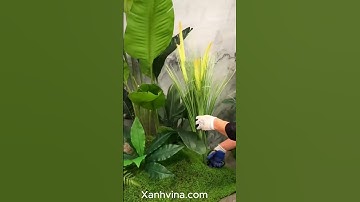 Hướng dẫn setup tiểu cảnh bồn cây giả trong nhà _ Xanhvina  #xanhvina, #caygia,#tieucanhcaygia