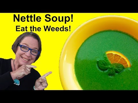 ✅Nettle Soup Recipe Plus Benefits!