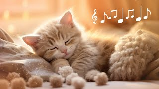 Cat Music ♬ Anti-Anxiety Lullaby for Calm & Cozy Kitties by Best for Cats 457 views 2 months ago 5 hours