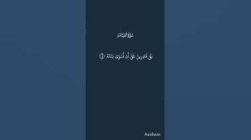 قران كريم ☝️❤️|Quran Karim|سورة القيامة🌹بصوت خاشع و جميل ☝️💐