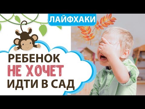 Что делать, если РЕБЕНОК НЕ ХОЧЕТ ИДТИ В ДЕТСКИЙ САД? || MOMI TV