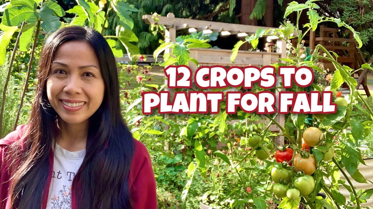 12 Crops to Plant NOW for Fall & Winter Harvest Plus Bonus Crop