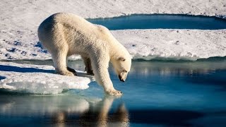 Humans not the only cause of Arctic sea loss HD video Image of Humans not the only cause of Arctic sea loss HD video