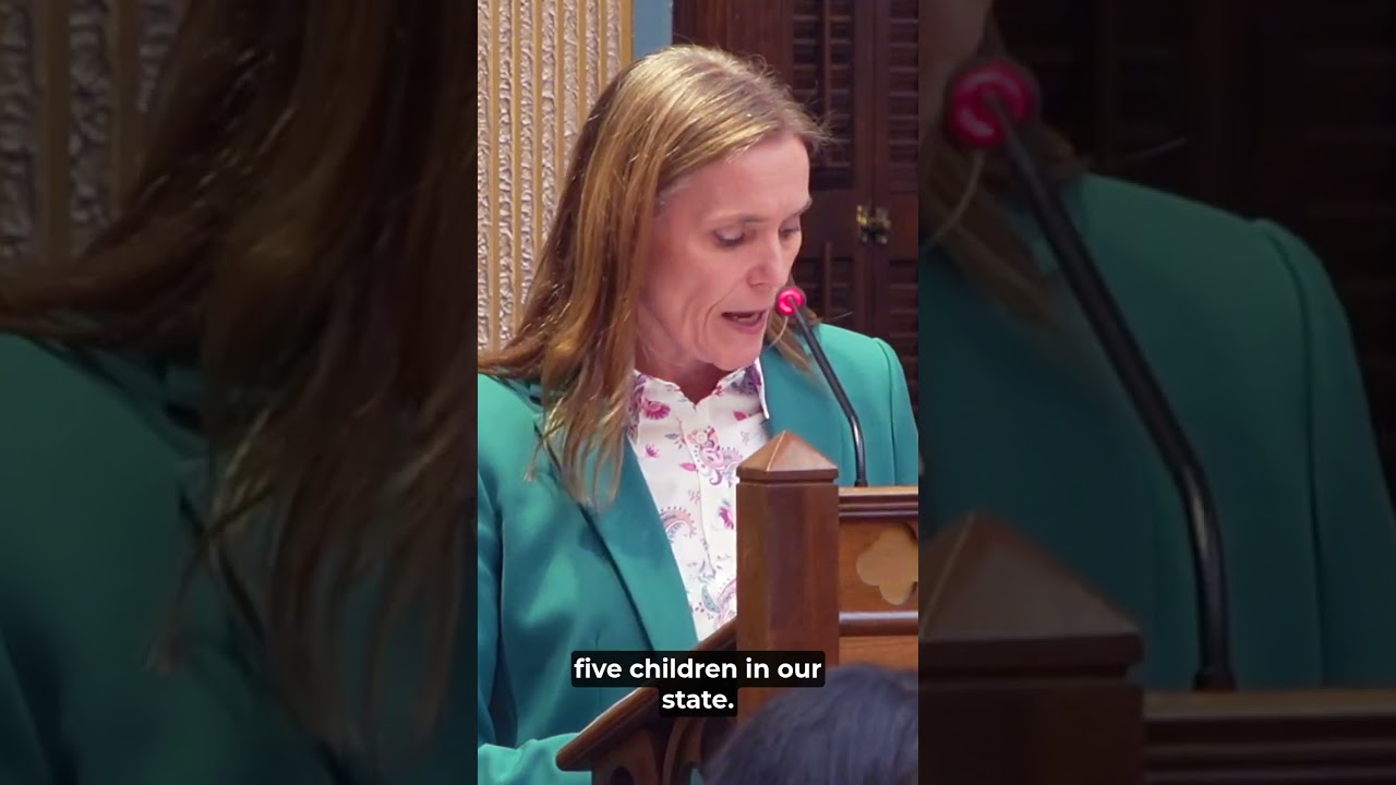 Sen. Winnie Brinks on the MI State Budget
