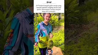 Gadisgadis Penangkap Durian