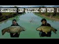 Carpfishing Dal Tramonto All'Alba EP#3
