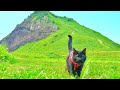 2年ぶりに猫とすごい場所に来てみたら。。