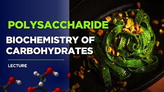 Polysaccharide | Biochemistry of Carbohydrates | Part 1