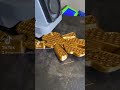 Gyroid infill turtle