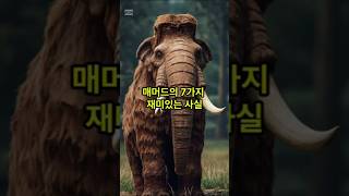 매머드의 7가지 재미있는 사실