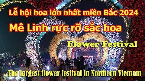 Rực rỡ sắc màu tại Lễ hội hoa lớn nhất miền Bắc 2024 | Mê Linh rực rỡ sắc hoa