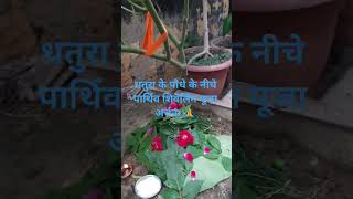 🥀🔱 पार्थिव शिवलिंग 🌿🔱 महादेव 🙏#trending #bholenath #bhakti #astrology #mahadev