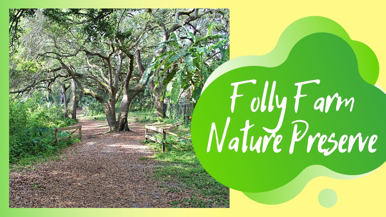 What are the folly farm rules read