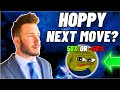 HOPPY: NEXT MOVE?!?!