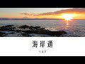 海岸通 イルカ (ライブバージョン)