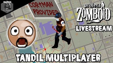 MULTIPLAYER WITH CHAT | PROJECT ZOMBOID |