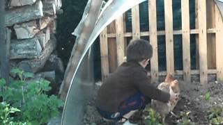 DSCF0923.AVI