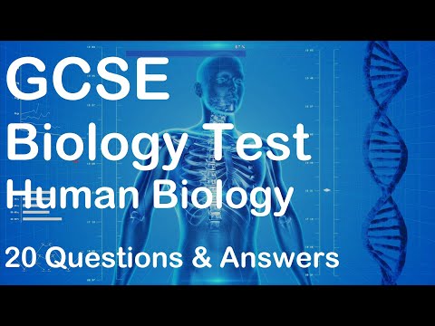 20 GCSE Human
