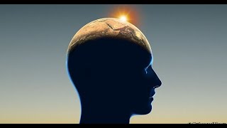 The Programmed, Violent and Conditioned Mind Of The Masses Wealth