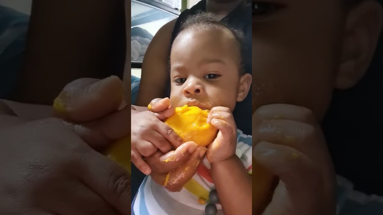 Baby eating mango for the first time in Jamaica 🇯🇲 few weeks ago 