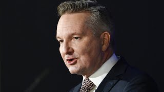 Australia should not be an 'experiment' for renewable energy