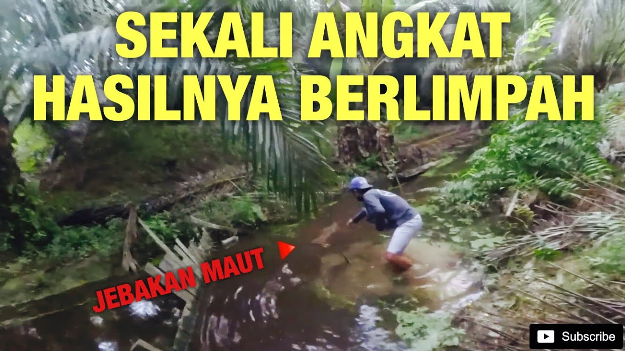 MANCING HARUAN DAN PASANG JEBAKAN IKAN SEPAT