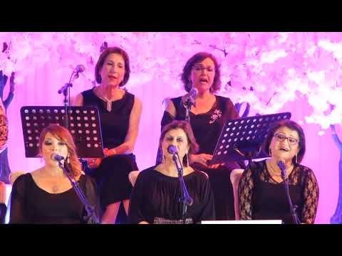 طوق الياسمين قاضي العشق حسدونا صب بك مفتون اه من غرامي 