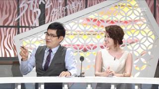 Section TV #06, 20110904